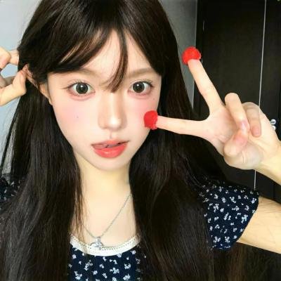 完美的独裁国家