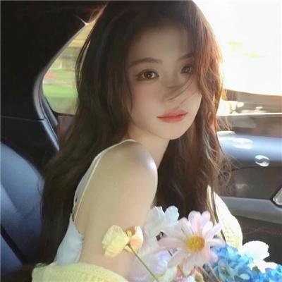 莫西干回到故乡