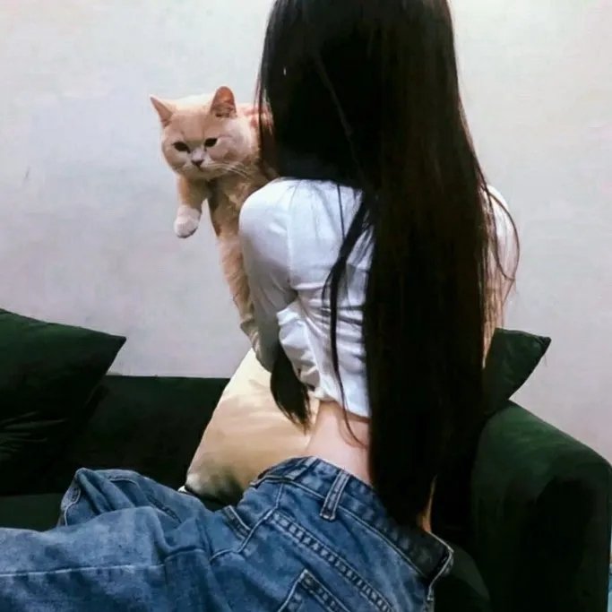 诡宴