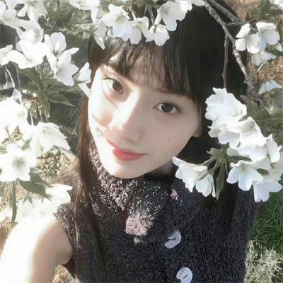 无懈可击2016